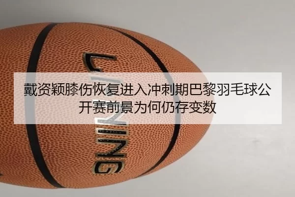 戴资颖膝伤恢复进入冲刺期巴黎羽毛球公开赛前景为何仍存变数