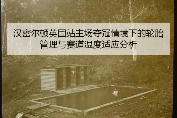 汉密尔顿英国站主场夺冠情境下的轮胎管理与赛道温度适应分析